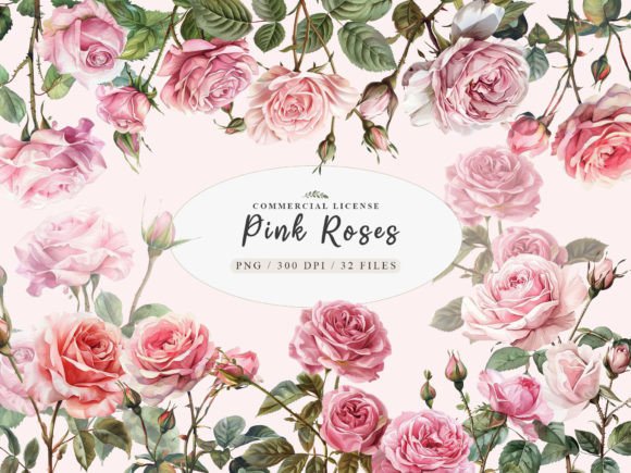 Download Watercolor Pink Rose Clipart, Blush Rose - Clipart Collection